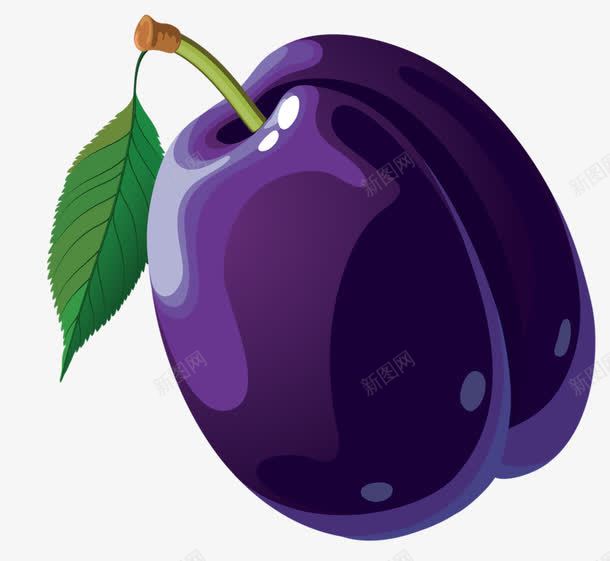 手绘紫色李子png免抠素材_新图网 https://ixintu.com 手绘 李子 水果 紫色