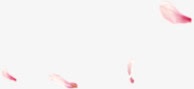 粉色花瓣海报装饰png免抠素材_新图网 https://ixintu.com 海报 粉色 花瓣 装饰