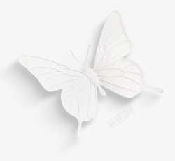 白色简约蝴蝶装饰图案素材
