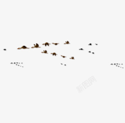 一排小鸟飞着的大雁高清图片