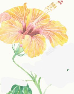 夏日手绘卡通花朵效果素材