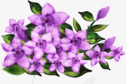 紫色花卉约会背景素材