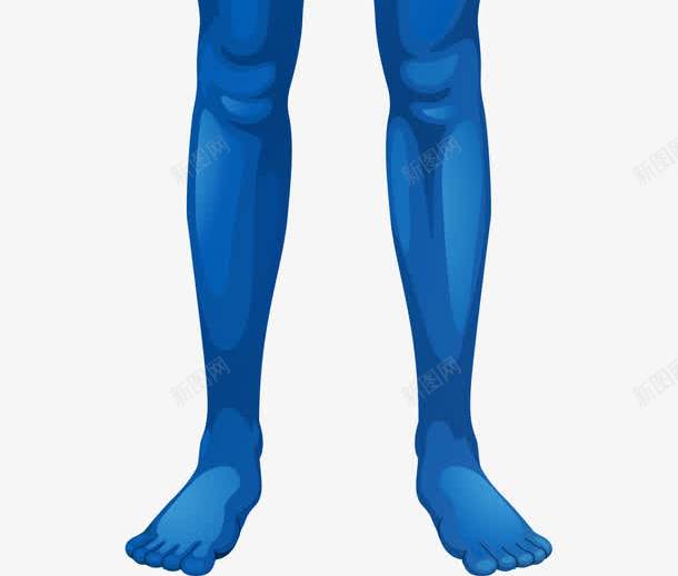 蓝色人体器官png免抠素材_新图网 https://ixintu.com 人体 人体器官 卡通肢体 四肢 肢体 肢体图 躯干