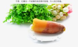 地瓜红薯杂粮素材