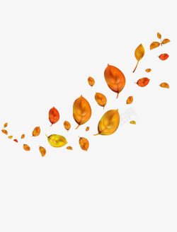 秋叶漂浮漂浮的秋叶高清图片