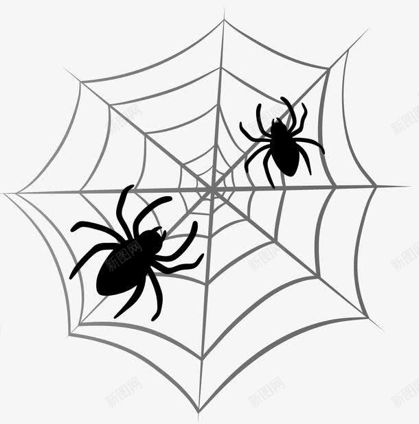 蜘蛛网上的蜘蛛png免抠素材_新图网 https://ixintu.com png图片 动物 爬行 蜘蛛 蜘蛛网 黑色