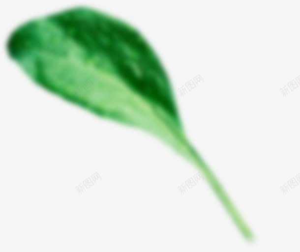 绿色菠菜png免抠素材_新图网 https://ixintu.com 图片 绿色 菠菜