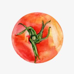 手绘红西红柿素材
