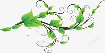 绿色线条树叶装饰png免抠素材_新图网 https://ixintu.com 树叶 线条 绿色 装饰 设计