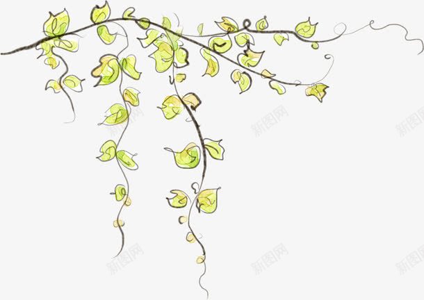 创意手绘水彩黄色的花卉植物png免抠素材_新图网 https://ixintu.com 创意 植物 水彩 花卉 黄色