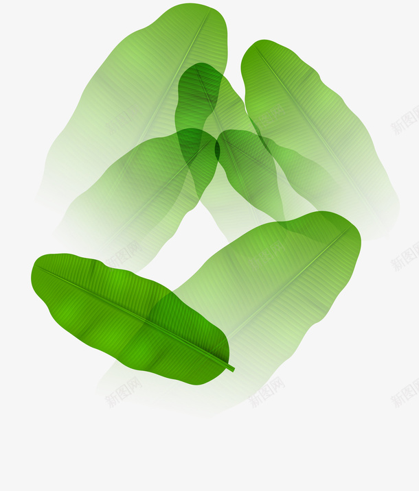 绿色梦幻树叶植物png免抠素材_新图网 https://ixintu.com 免抠PNG 树叶 梦幻 植物 渐变 简约 绿色 芭蕉叶 装饰图案 透明