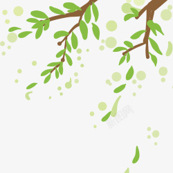 绿色清新装饰树枝素材