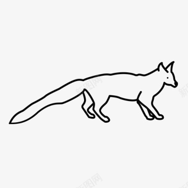 基因猫狐狸图标图标