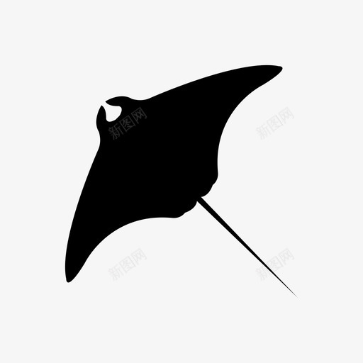 螳螂鱼动物自然图标svg_新图网 https://ixintu.com 动物 水 海洋 自然 螳螂鱼