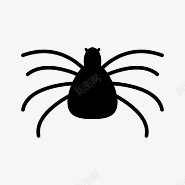 蜘蛛蜘蛛纲昆虫图标图标