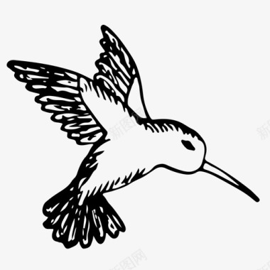 科利布里动物鸟图标图标