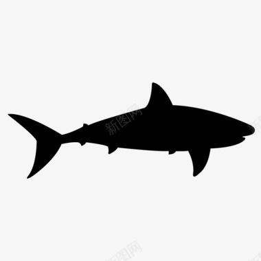 鲨鱼好斗危险图标图标