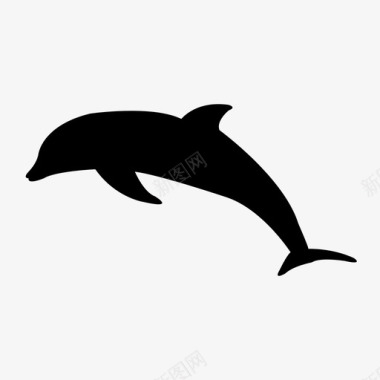 海豚动物美丽图标图标