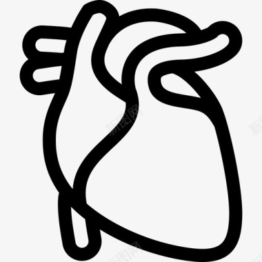 心脏解剖学心脏病学图标图标