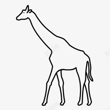 长颈鹿非洲骆驼图标图标