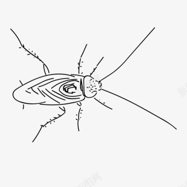 蟑螂甲虫昆虫图标图标