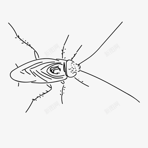 蟑螂甲虫昆虫图标svg_新图网 https://ixintu.com 害虫 手绘 昆虫 甲虫 蟑螂