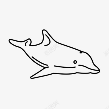 海豚宽吻海豚鳍图标图标
