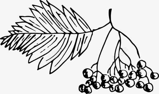 罗文浆果自然图标图标
