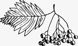 罗文罗文浆果自然图标高清图片