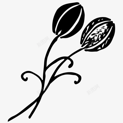 罂粟花手绘图标svg_新图网 https://ixintu.com 手绘 罂粟 自然 花