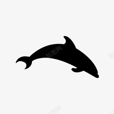 海豚动物美丽图标图标