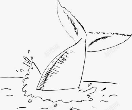 鲸尾虎鲸略图图标图标