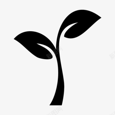 叶美植物图标图标
