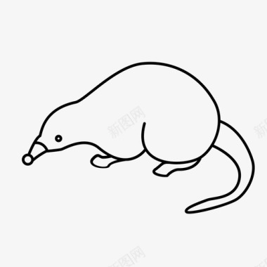 德斯曼鼹鼠麝鼠图标图标
