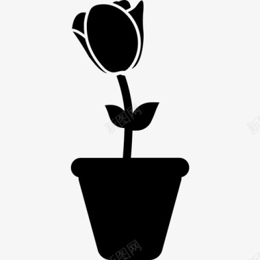 植物盆栽郁金香图标图标