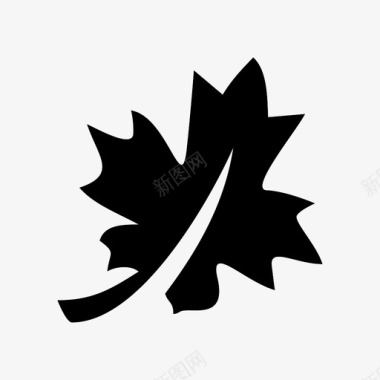 叶美植物图标图标
