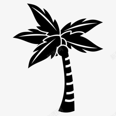 椰子树海滩棕榈树图标图标