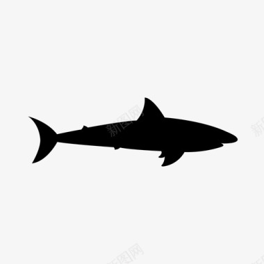鲨鱼好斗危险图标图标