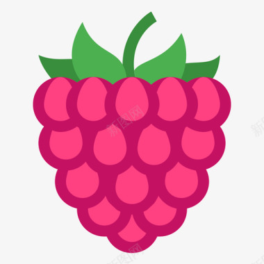 Raspberry图标