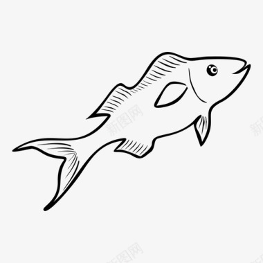 鱼海鱼蛋白质图标图标