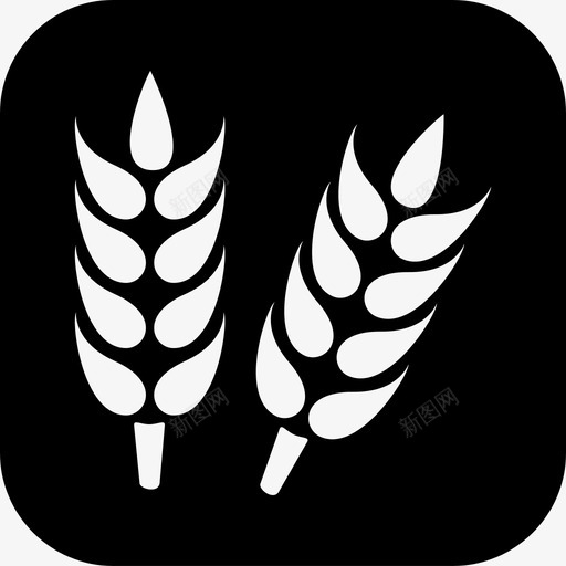 wheatsvg_新图网 https://ixintu.com wheat
