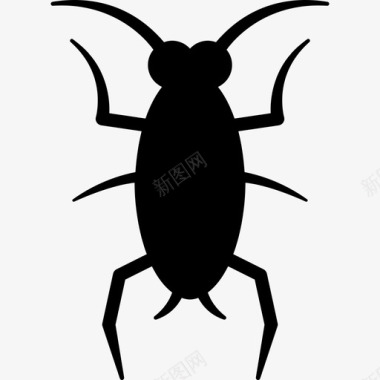 蟑螂动物自由动物图标图标