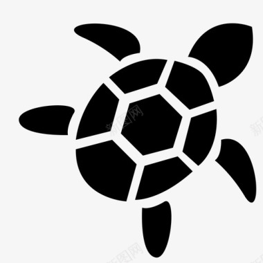 海龟动物水生图标图标