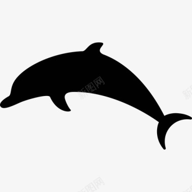 跳海豚动物暑假图标图标