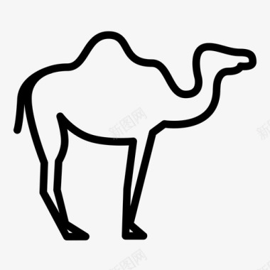 骆驼动物印度图标图标