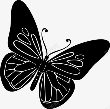 蝴蝶动物美丽图标图标