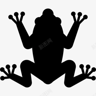 热带青蛙动物自由动物图标图标