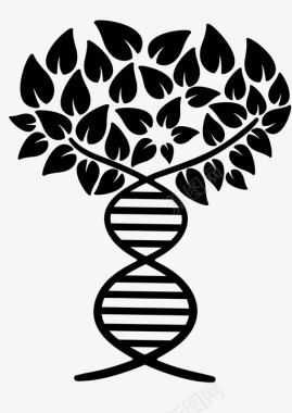 家谱遗传学基因组图标图标