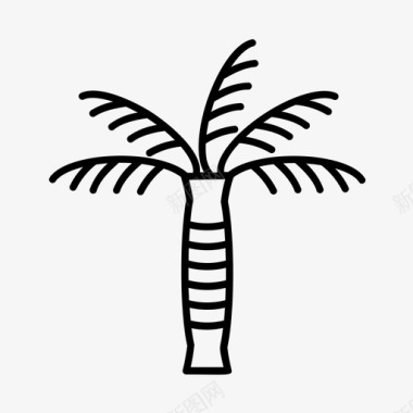 棕榈树花园自然图标图标