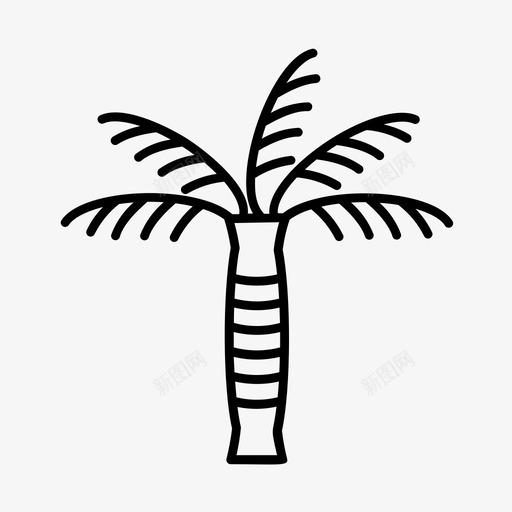 棕榈树花园自然图标svg_新图网 https://ixintu.com 棕榈树 自然 花园